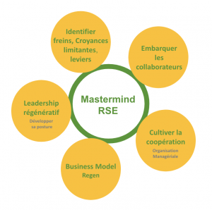 Thématiques Mastermind RSE