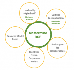 Thématiques Mastermind RSE V2
