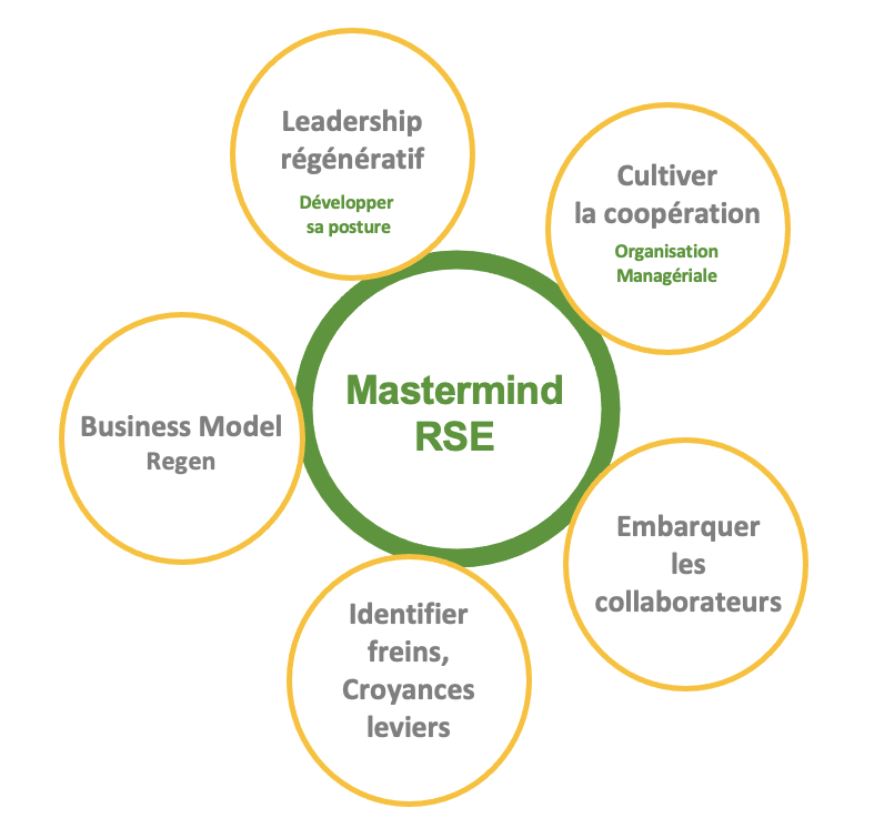 Thématiques Mastermind RSE V2